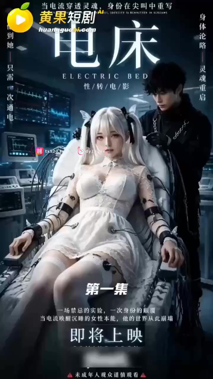 电床 cover